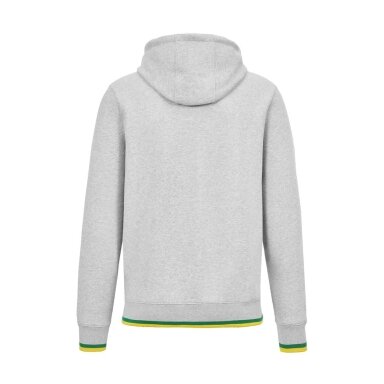 AYRTON SENNA Collegiate Gray vyriška džemperis su gobtuvu SEN23_SWH_COL