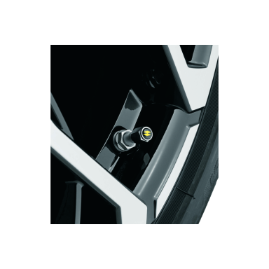 RENAULT SPORT vožtuvų dangteliai